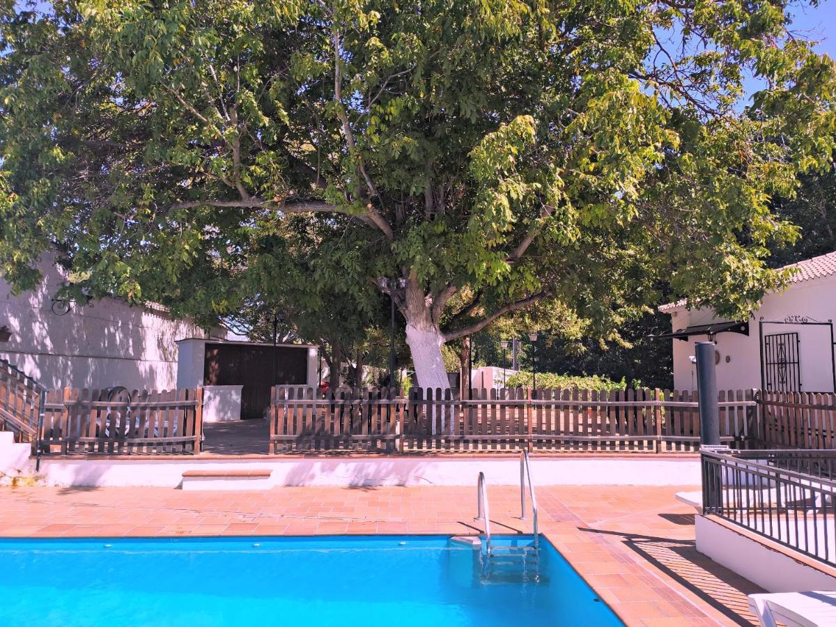 Complejo Apartamentos Rurales Molino De Abajo Ribera Baja  Eksteriør bilde