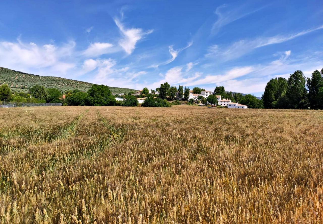 Complejo Apartamentos Rurales Molino De Abajo Ribera Baja  Eksteriør bilde