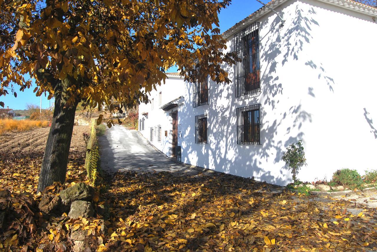 Complejo Apartamentos Rurales Molino De Abajo Ribera Baja  Eksteriør bilde